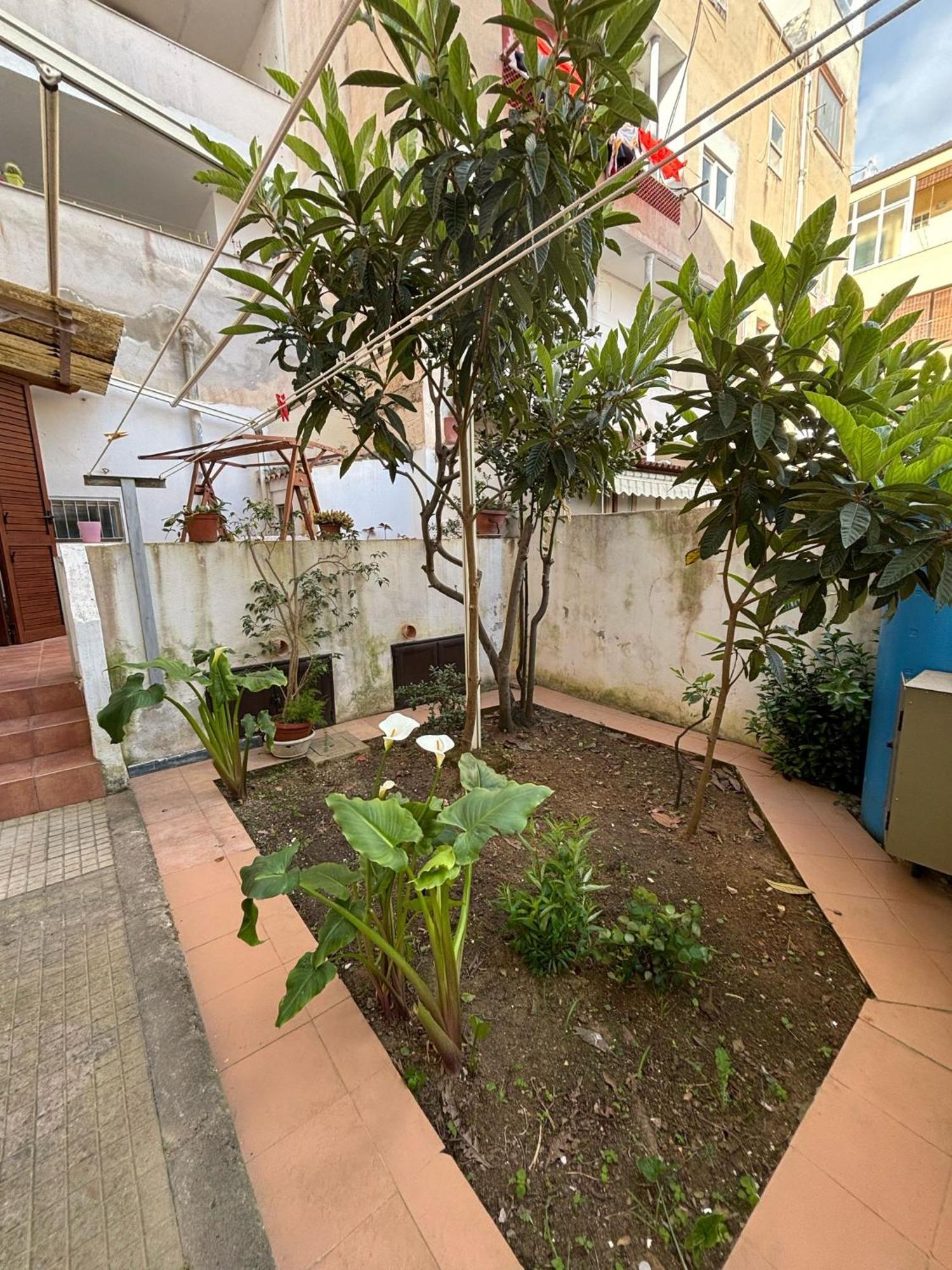 אלגהרו Pm 41 Via Ennio Porrino Guest House מראה חיצוני תמונה